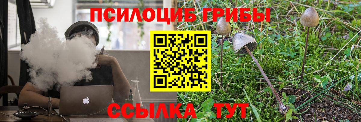 Галлюциногенные грибы Magic Shrooms Томск