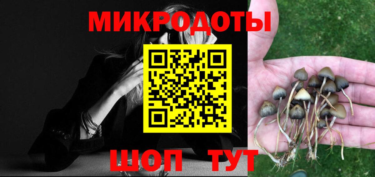 Томск  Галлюциногенные грибы MAGIC MUSHROOMS  Вход с VPN  Галлюциногенные грибы MAGIC MUSHROOMS 