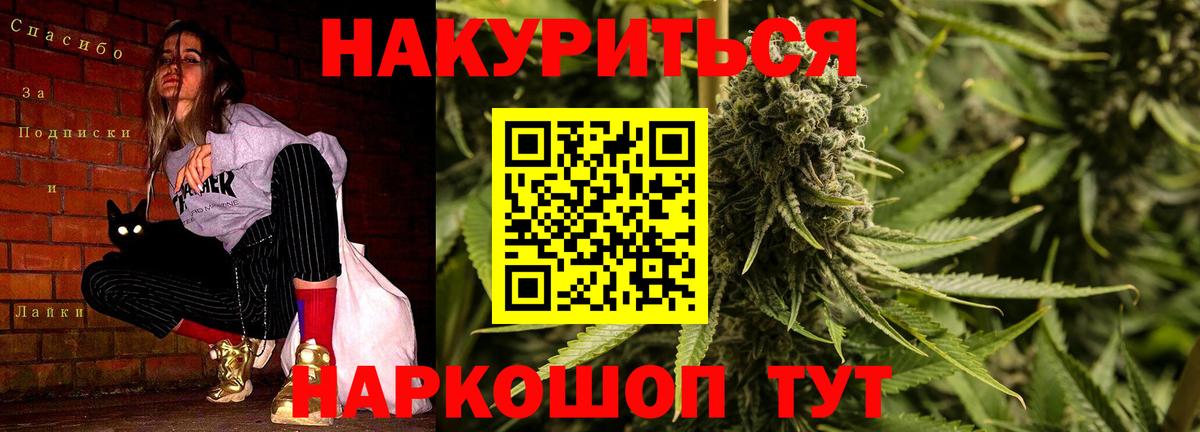 Бошки марихуана ГИДРОПОН Томск
